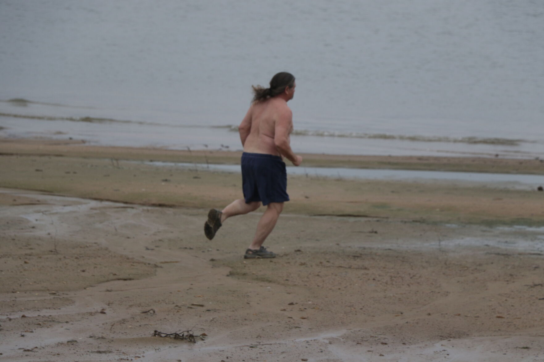 Polar Plunge